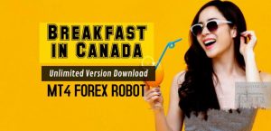 Read more about the article Breakfast in Canada EA 4.1 – Unlimited Version Download